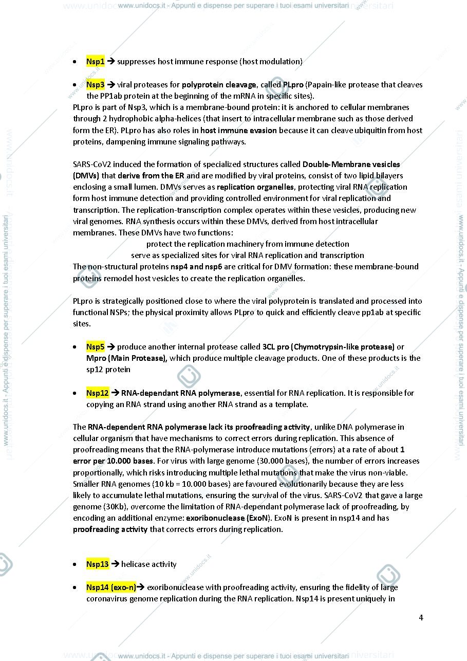Anteprima pagina 4 — VIROLOGY 