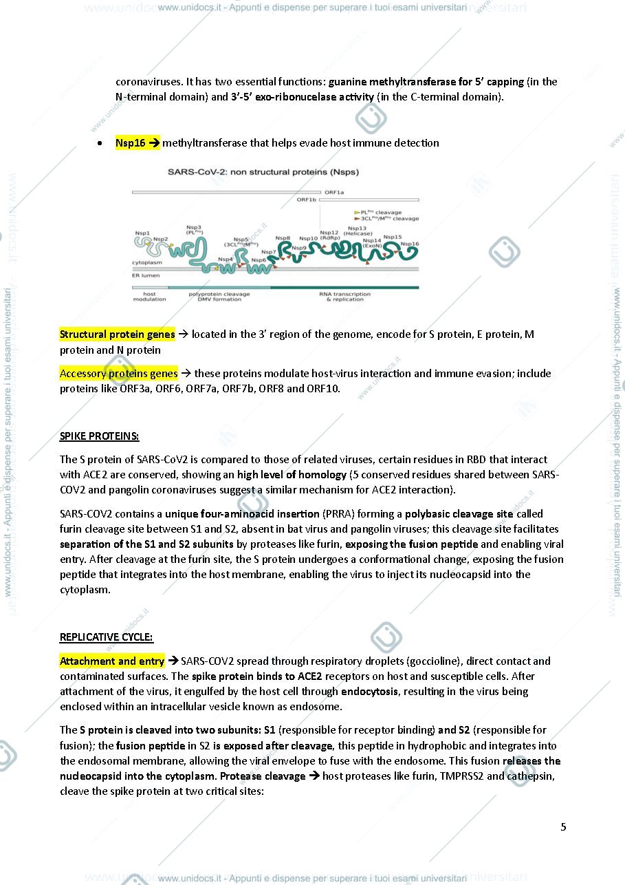 Anteprima pagina 5 — VIROLOGY 