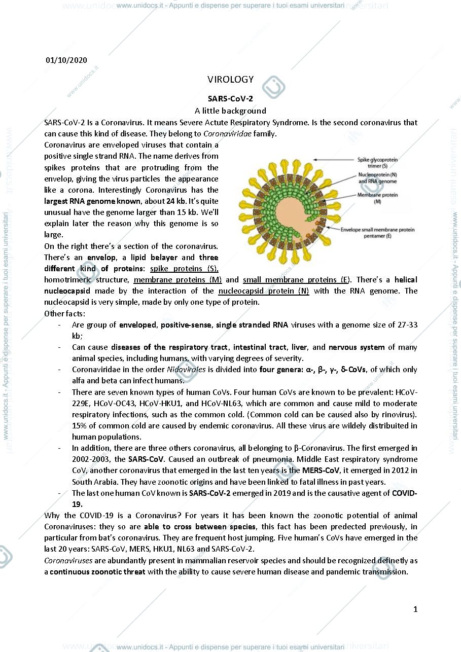 Anteprima pagina 1 — virology