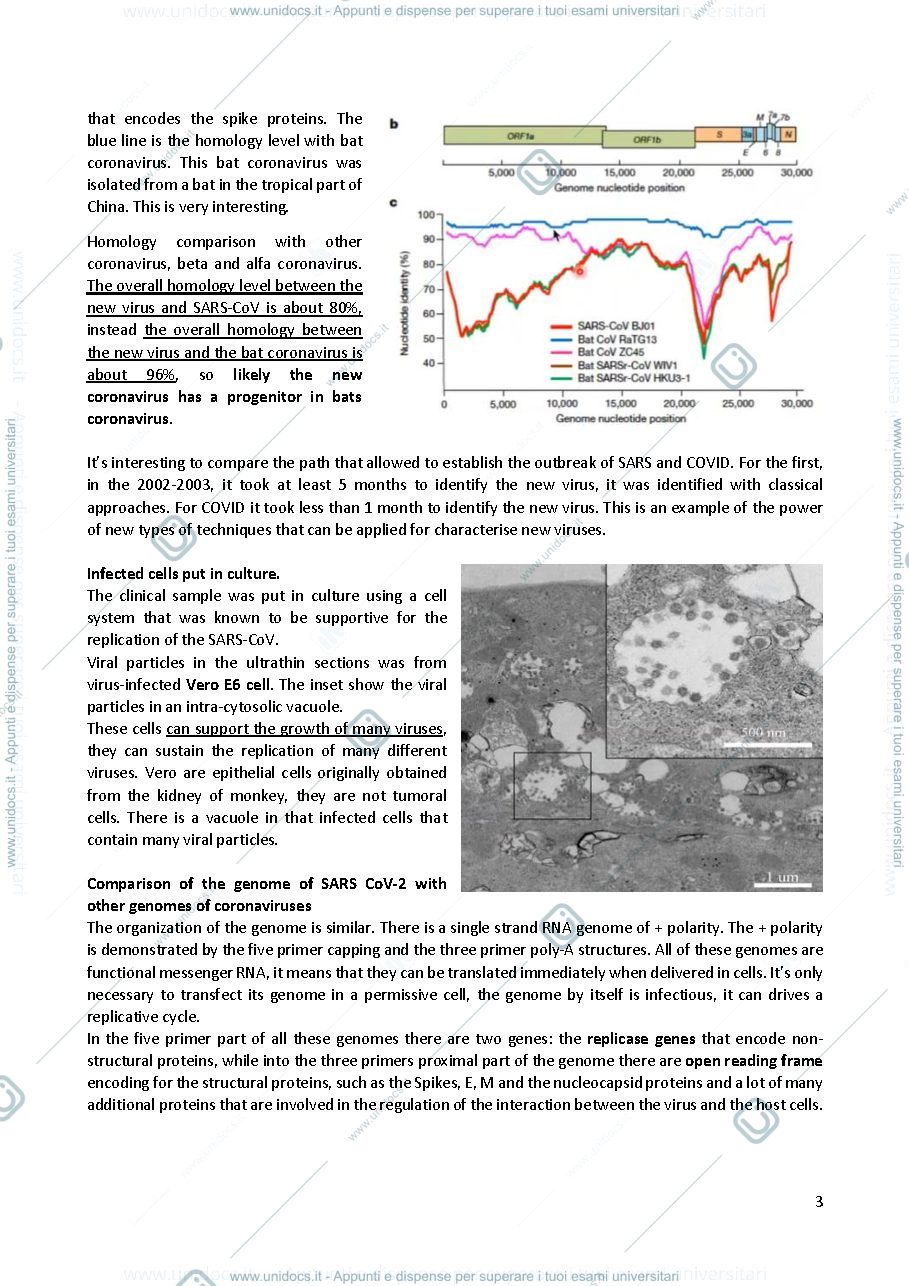 Anteprima pagina 3 — virology