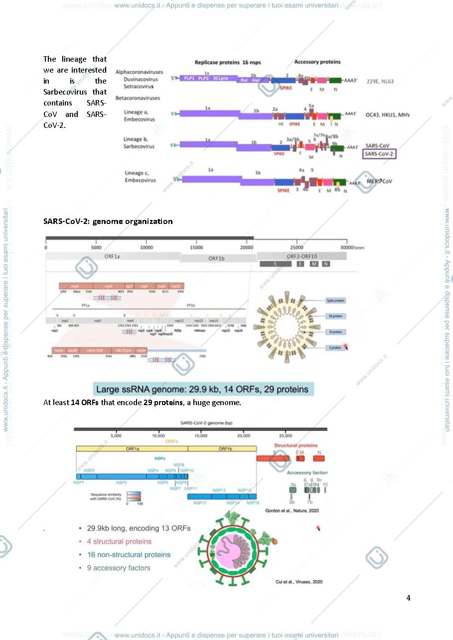 Anteprima pagina 4 — virology