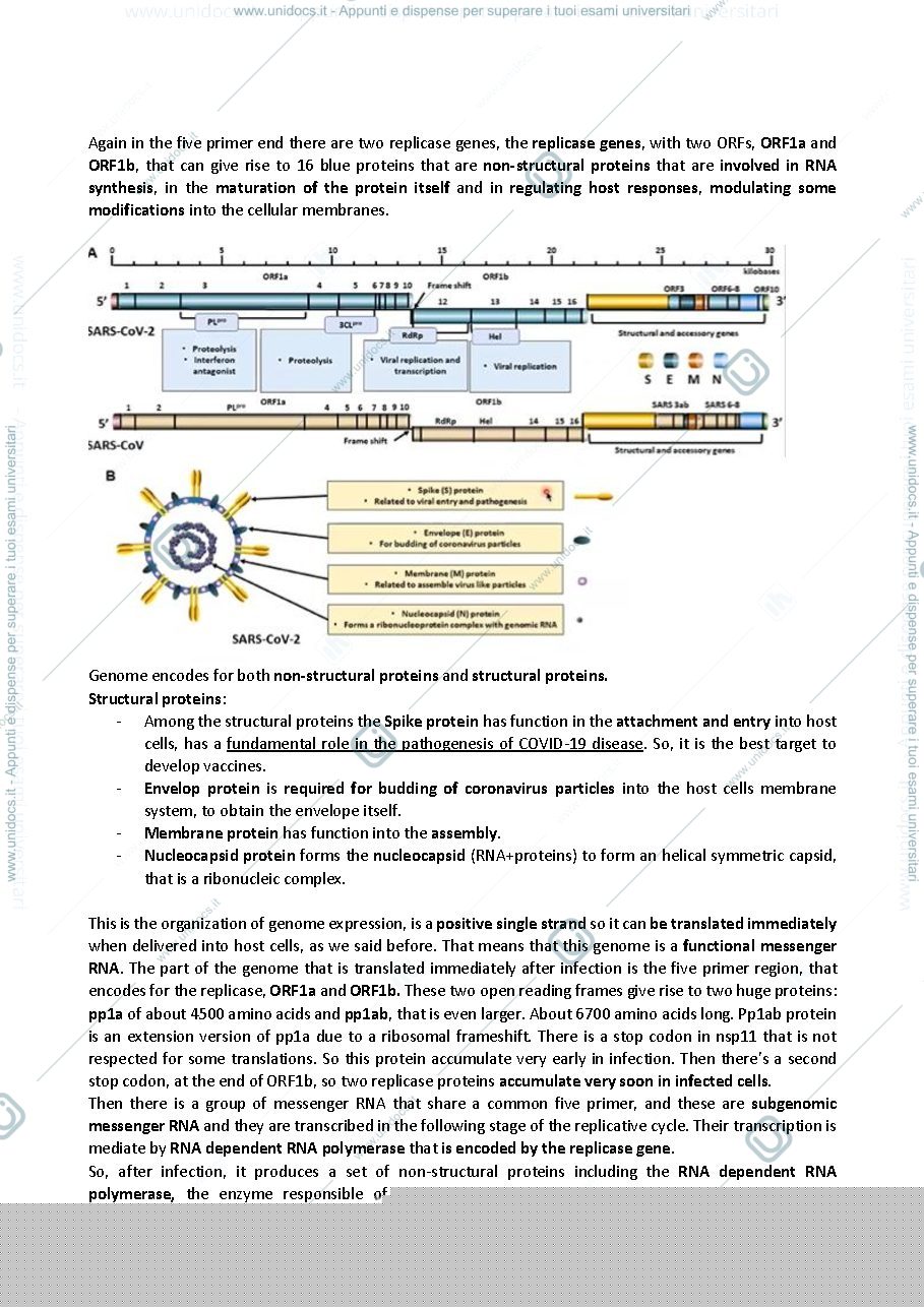 Anteprima pagina 5 — virology