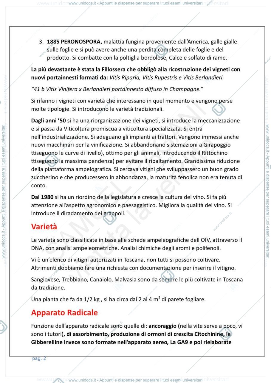 Anteprima pagina 2 — Viticoltura generale