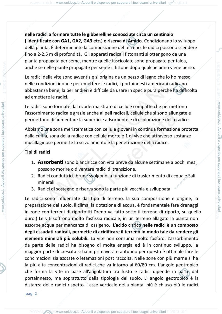 Anteprima pagina 3 — Viticoltura generale