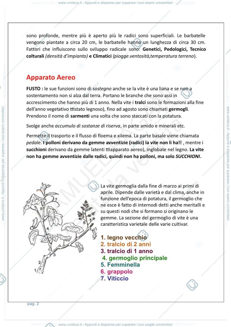 Anteprima pagina 4 — Viticoltura generale