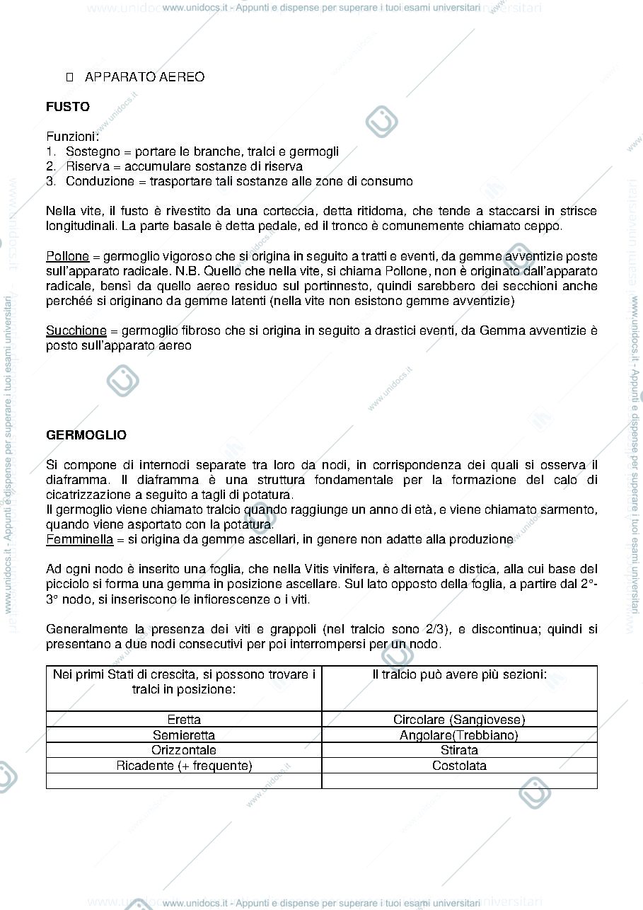 Anteprima pagina 3 — Viticoltura generale B009117