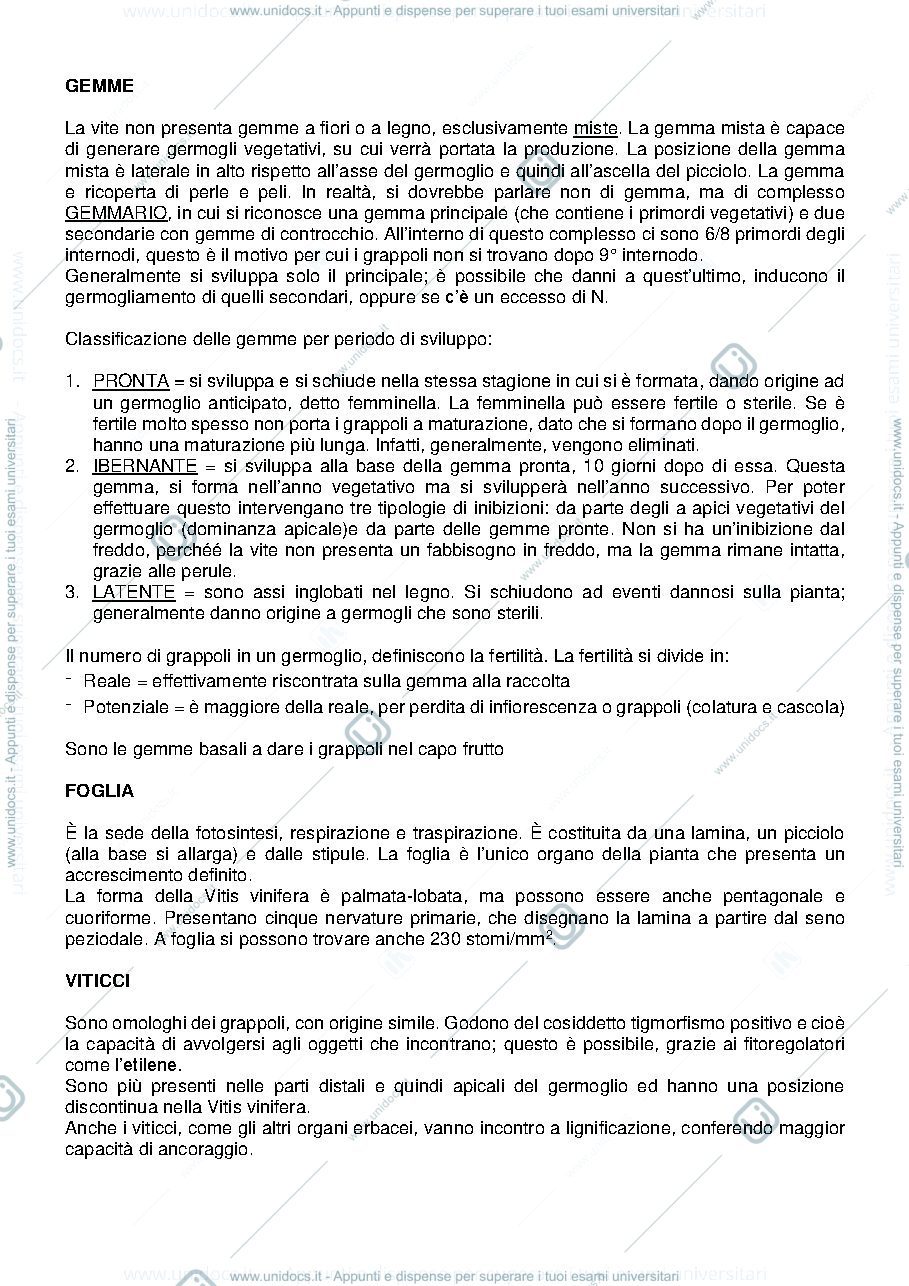 Anteprima pagina 4 — Viticoltura generale B009117