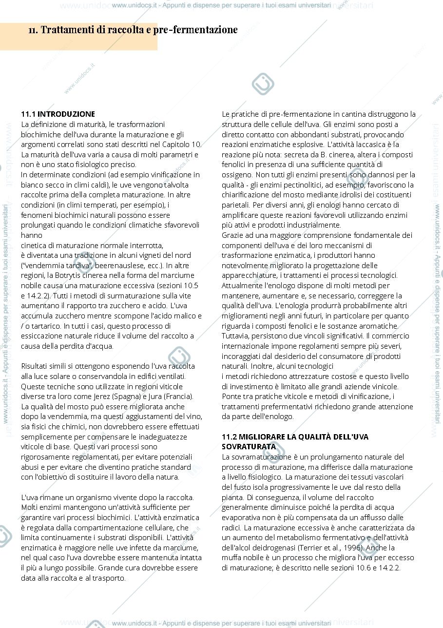 Anteprima pagina 1 — Viticoltura2