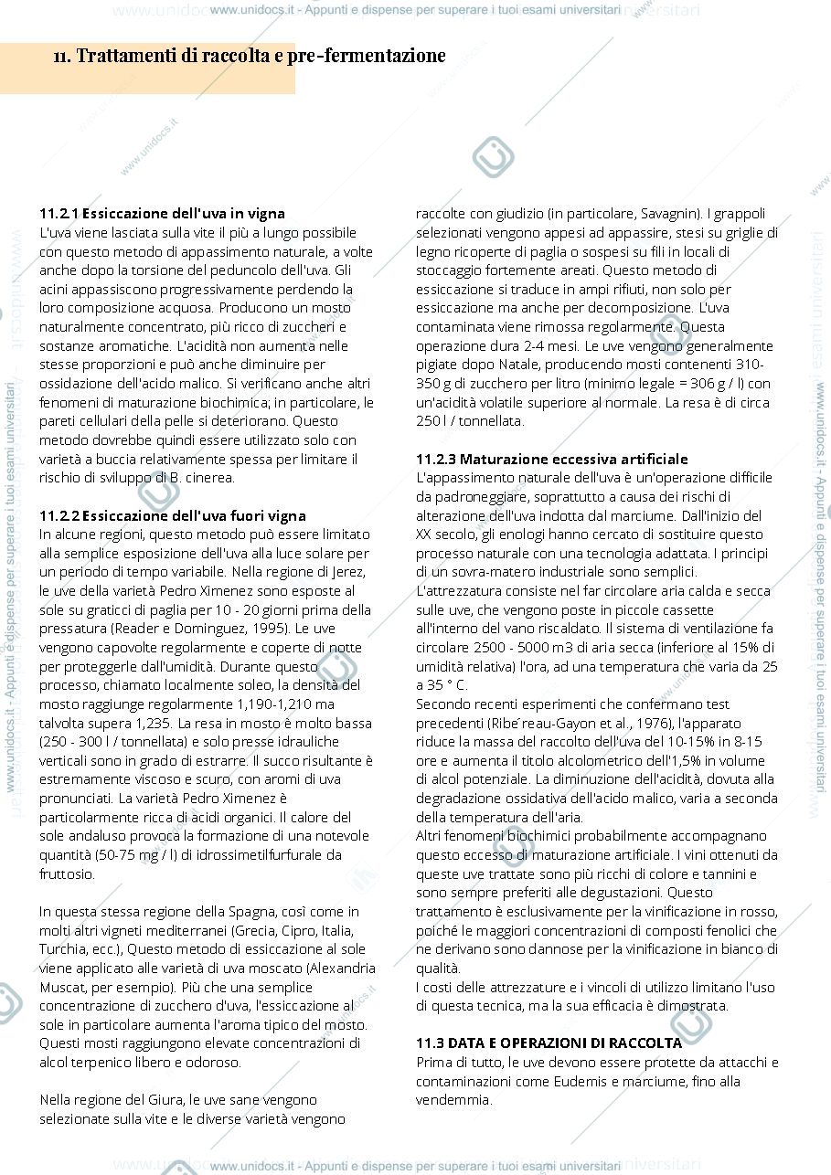 Anteprima pagina 2 — Viticoltura2
