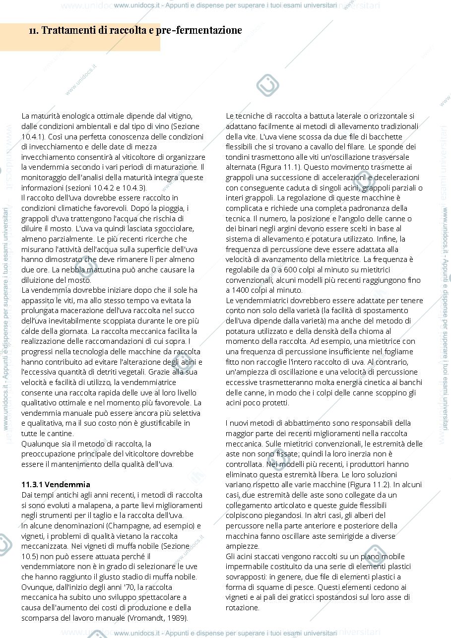 Anteprima pagina 3 — Viticoltura2