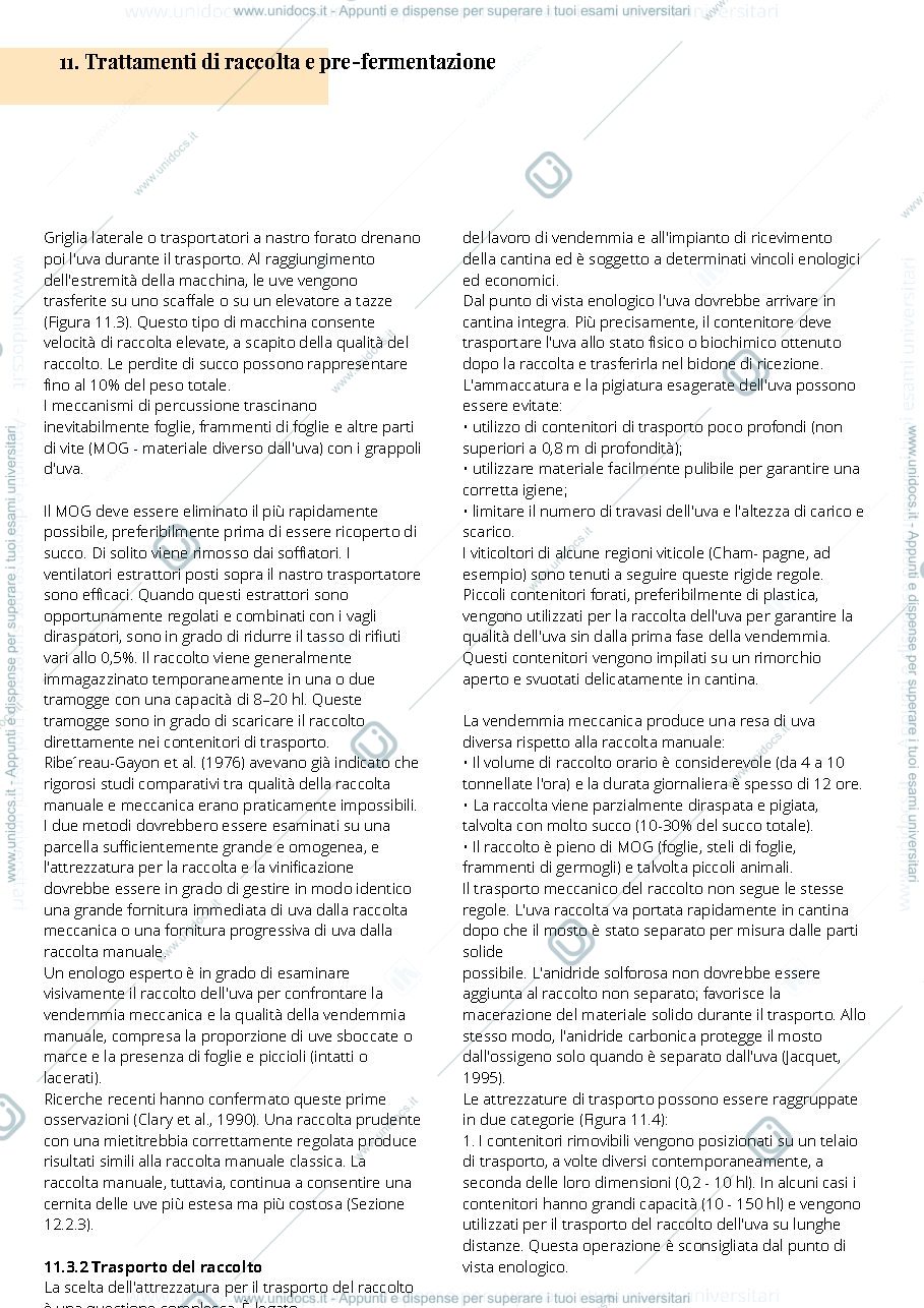Anteprima pagina 4 — Viticoltura2