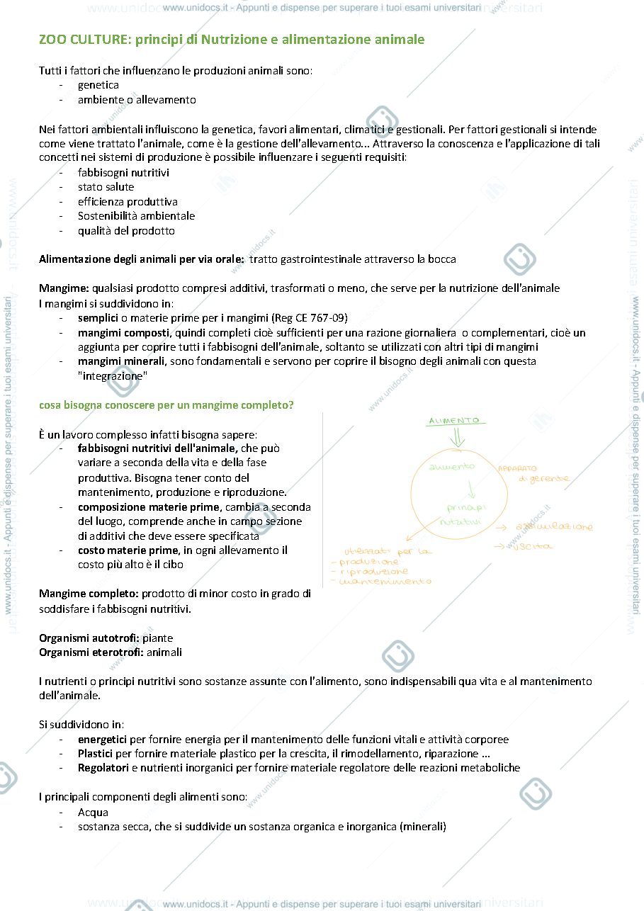 Anteprima pagina 2 — ZOOCOLTURE ( PROF SIRRI ) 