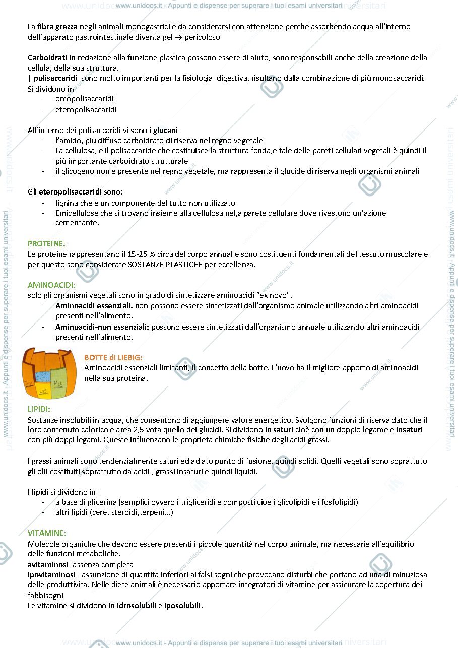 Anteprima pagina 3 — ZOOCOLTURE ( PROF SIRRI ) 