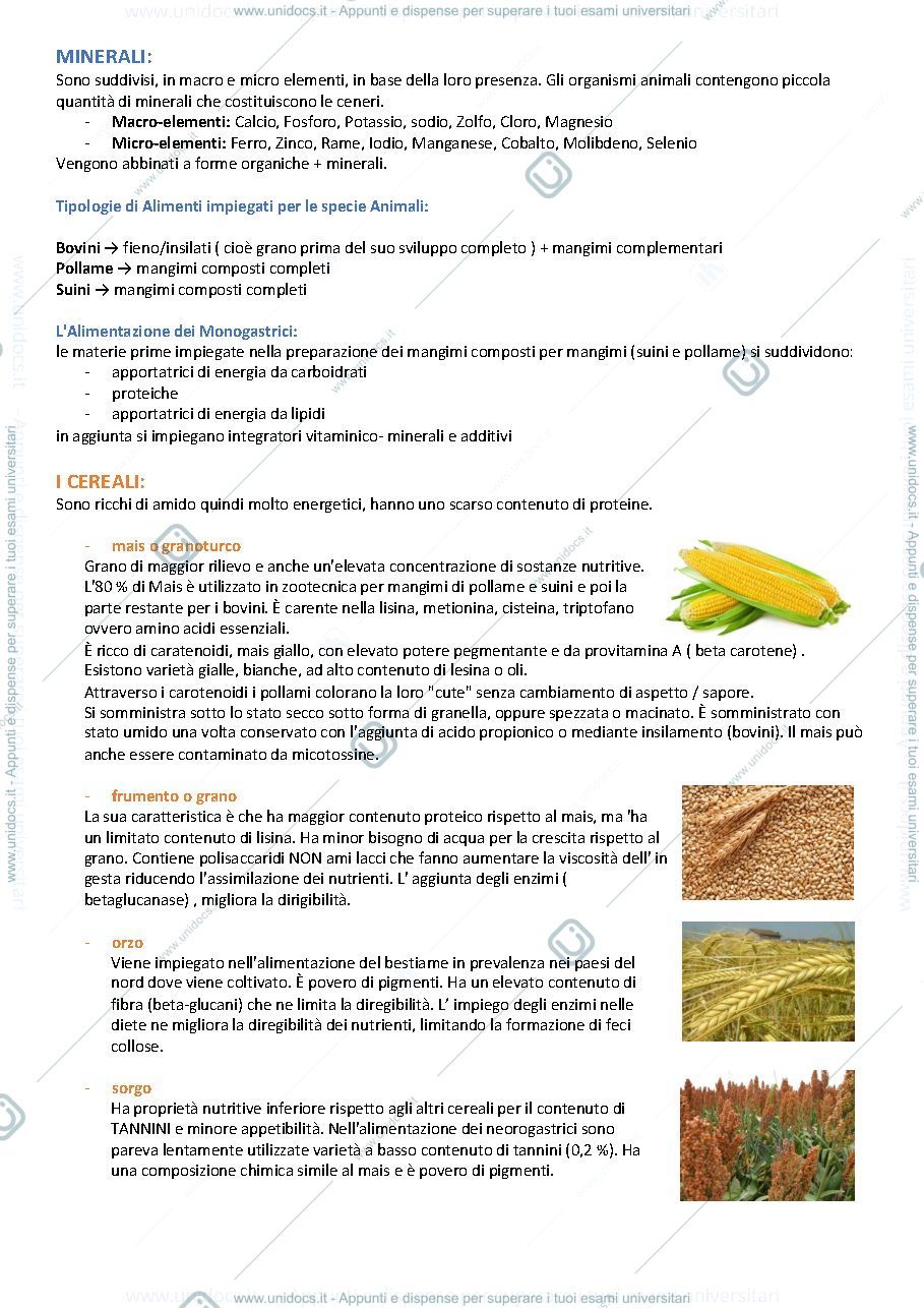 Anteprima pagina 4 — ZOOCOLTURE ( PROF SIRRI ) 