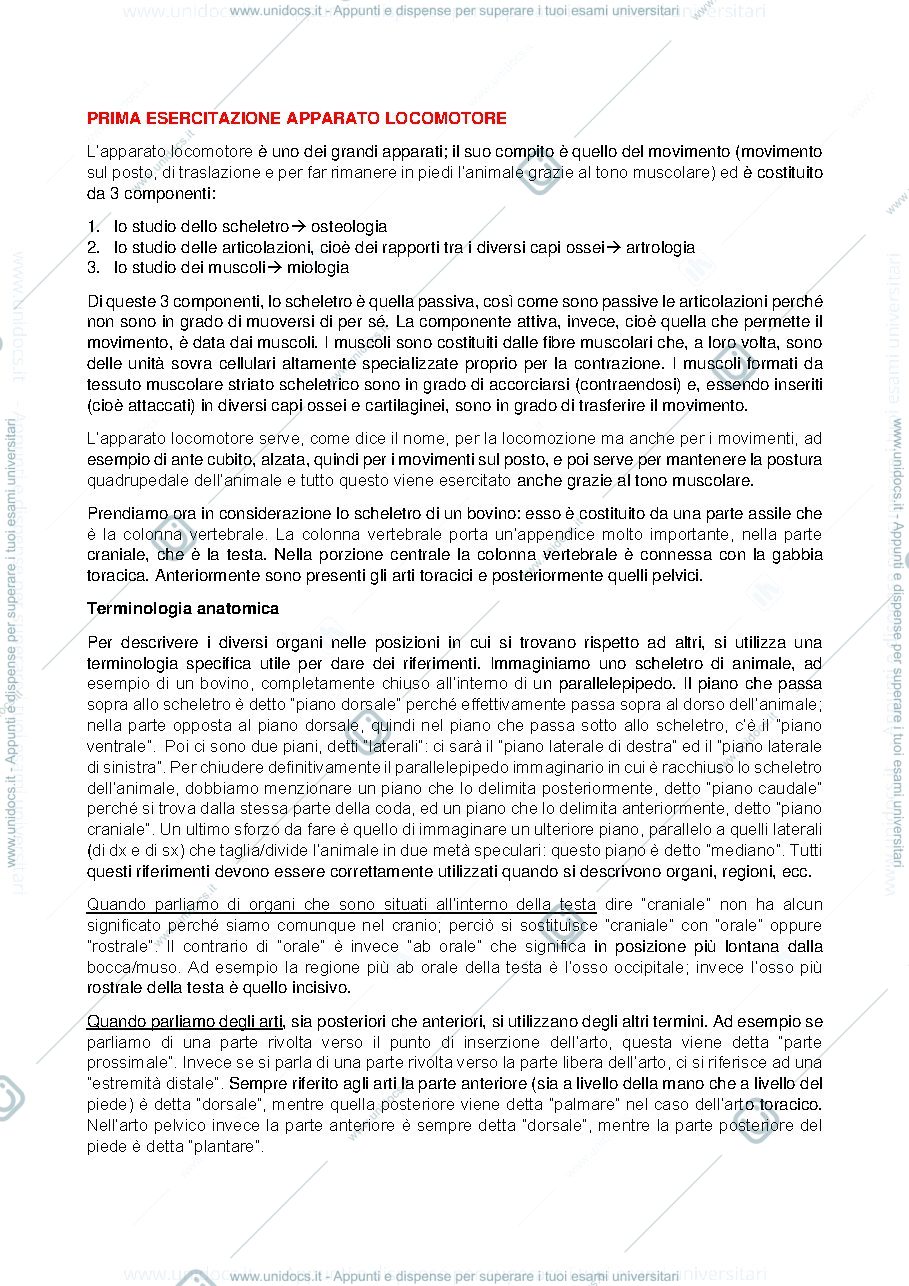 Anteprima pagina 1 — LOCOMOTORE, LEZIONE INTRODUTTIVA