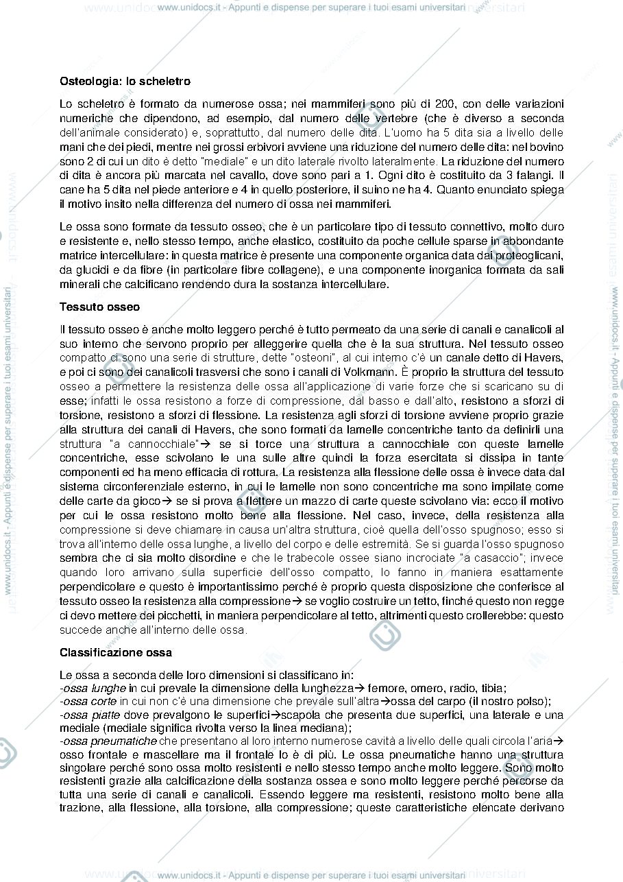 Anteprima pagina 2 — LOCOMOTORE, LEZIONE INTRODUTTIVA
