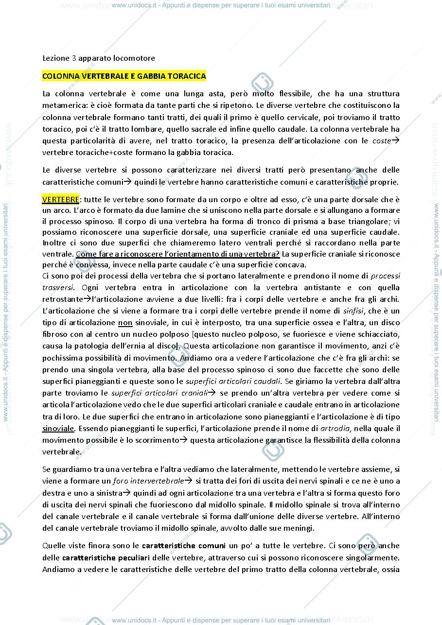 Anteprima pagina 1 — LOCOMOTORE COLONNA VERTEBRALE+ COSTE