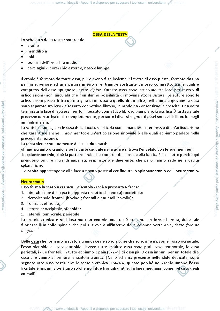 Anteprima pagina 1 — LOCOMOTORE-LE OSSA DELLA TESTA (lez. 2)