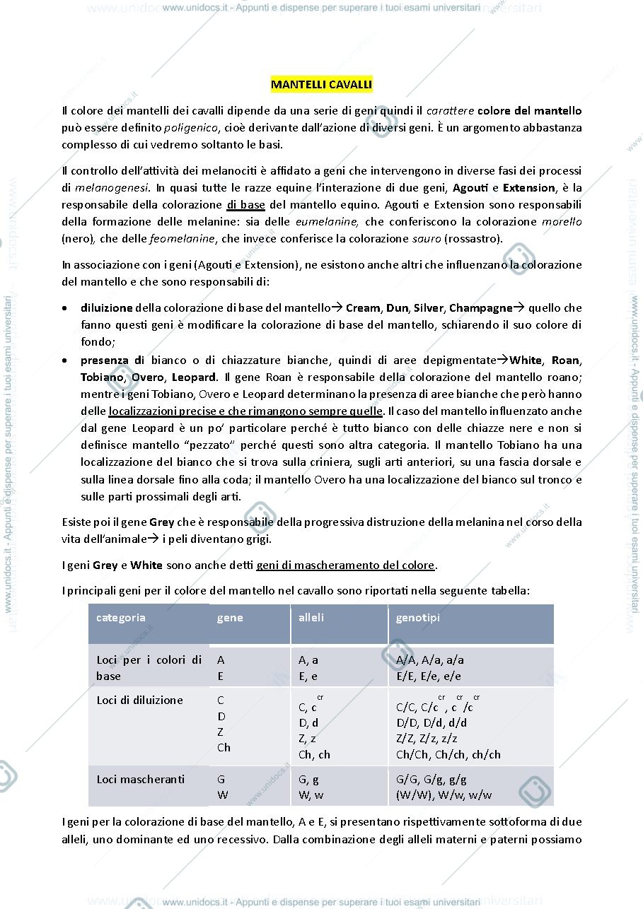 Anteprima pagina 1 — MANTELLI CAVALLI