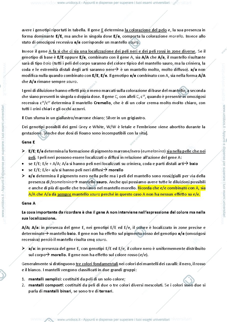 Anteprima pagina 2 — MANTELLI CAVALLI