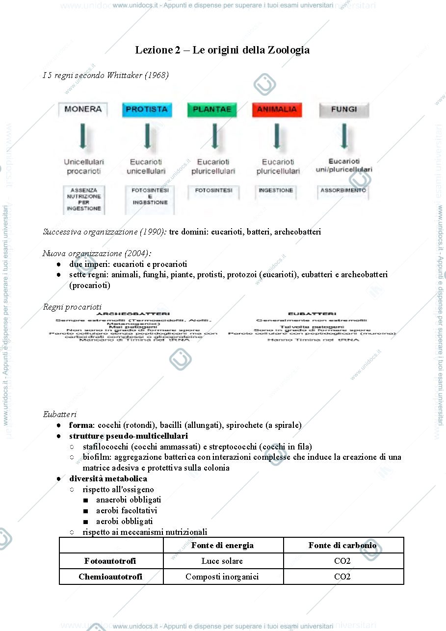 Anteprima pagina 4 — Zoologia