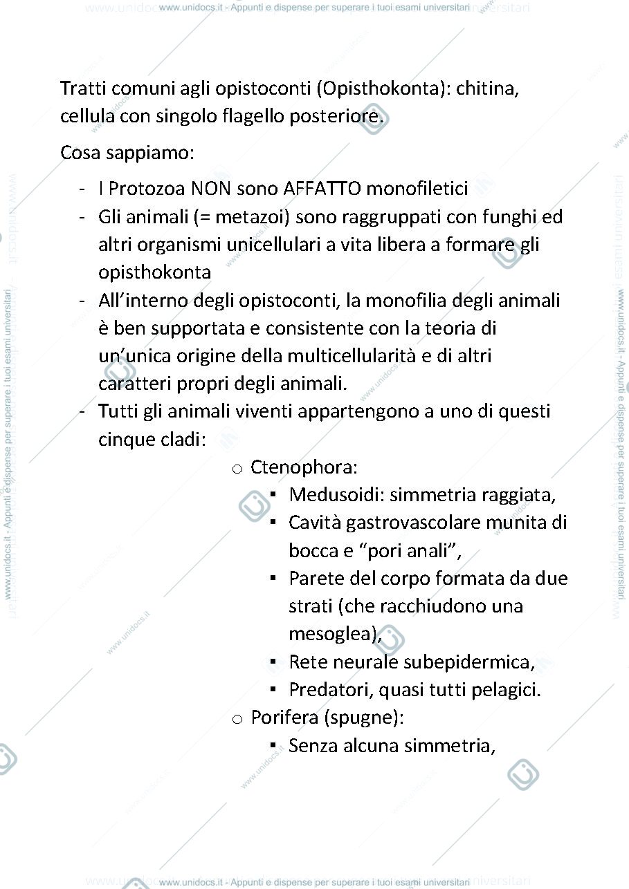 Anteprima pagina 2 — Zoologia degli invertebrati