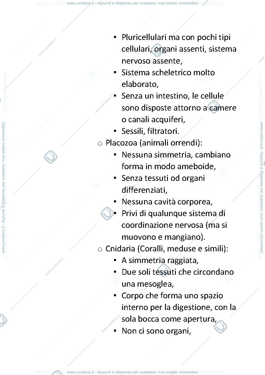 Anteprima pagina 3 — Zoologia degli invertebrati