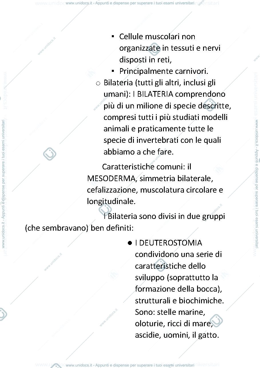 Anteprima pagina 4 — Zoologia degli invertebrati