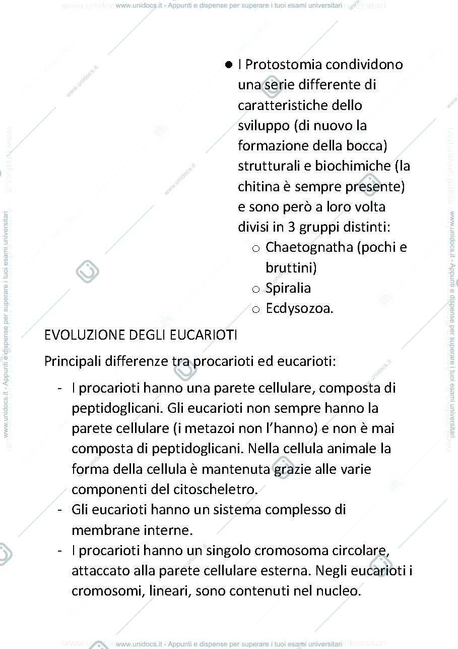 Anteprima pagina 5 — Zoologia degli invertebrati