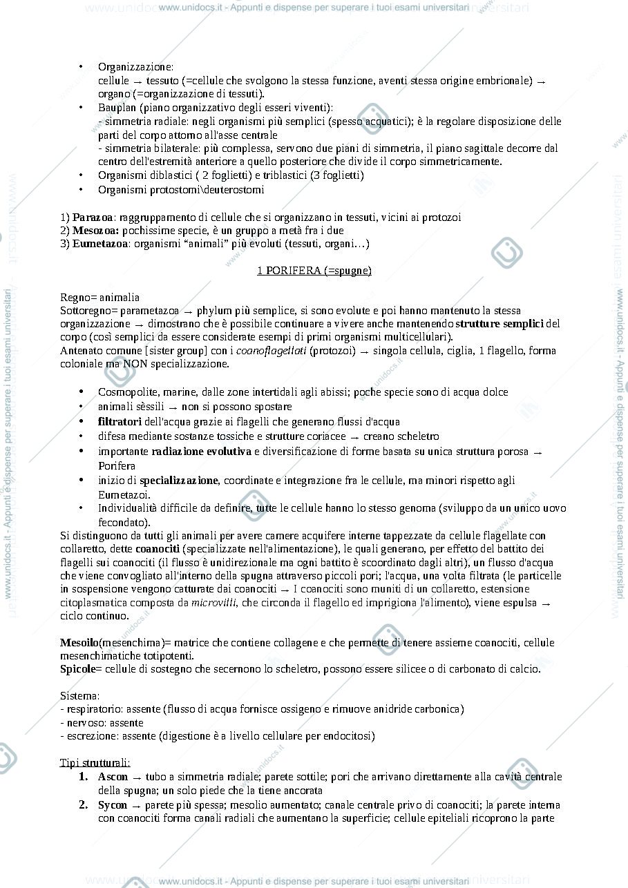 Anteprima pagina 1 — Zoologia