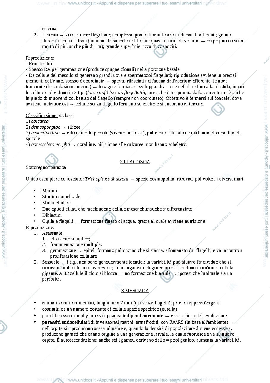 Anteprima pagina 2 — Zoologia