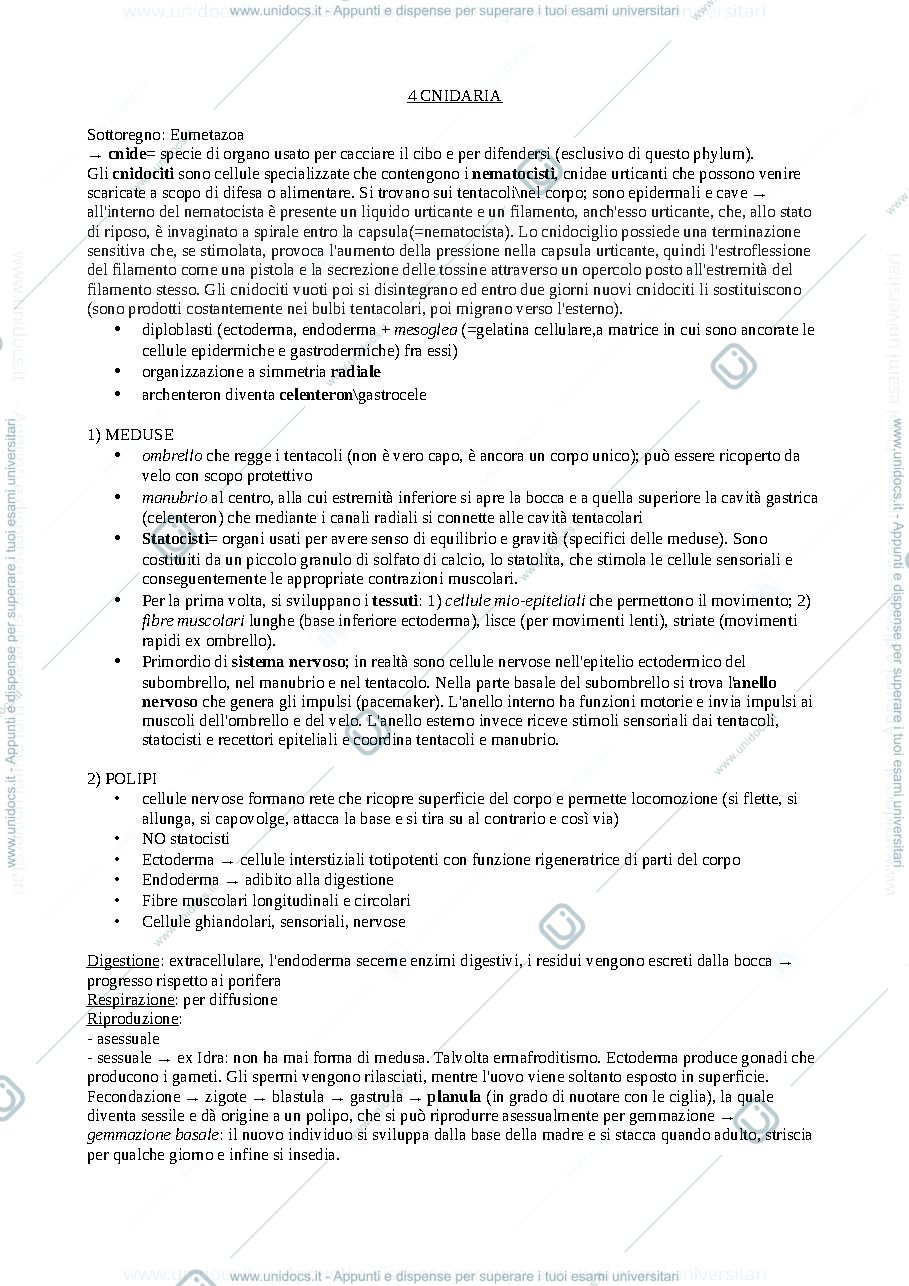 Anteprima pagina 3 — Zoologia