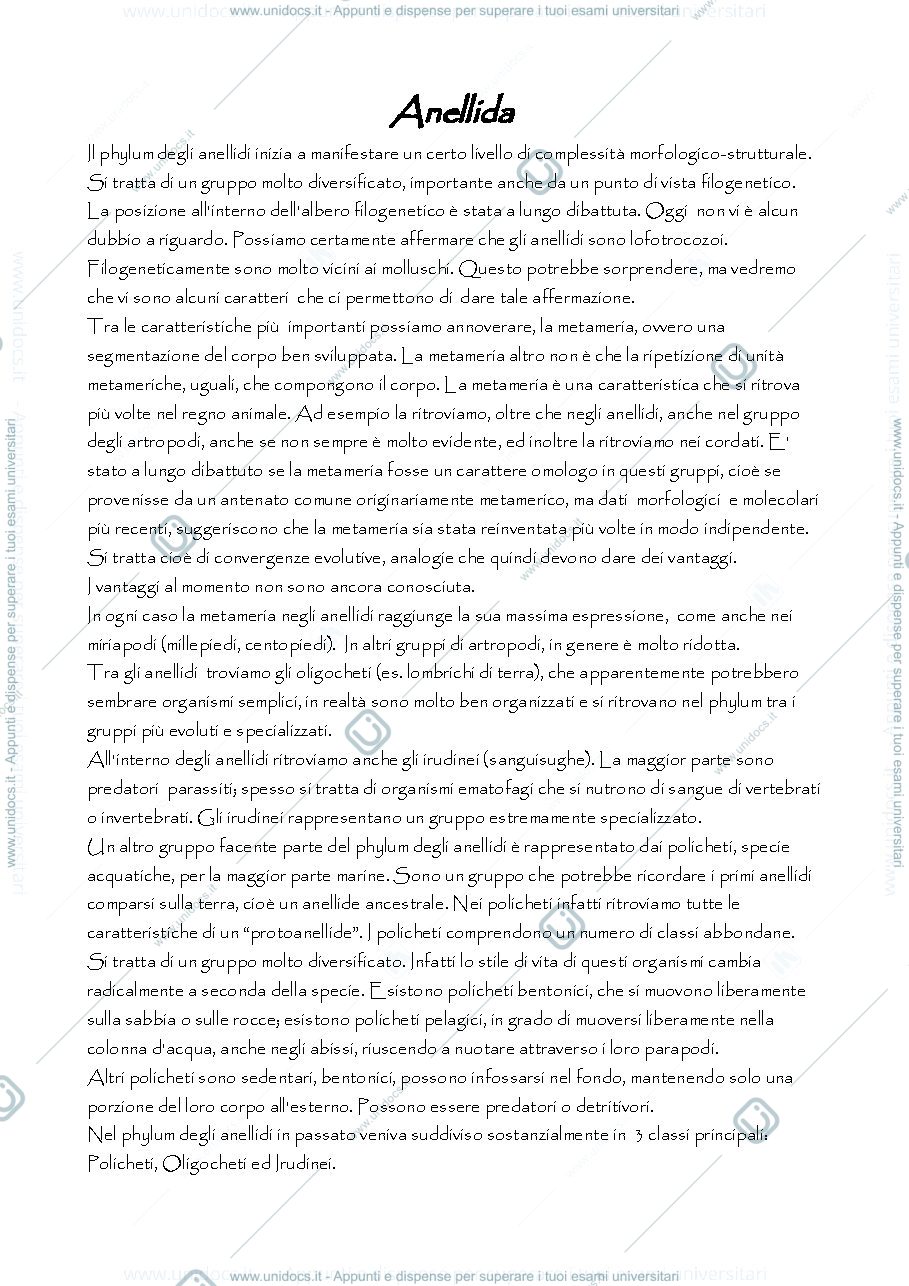 Anteprima pagina 1 — anellidi