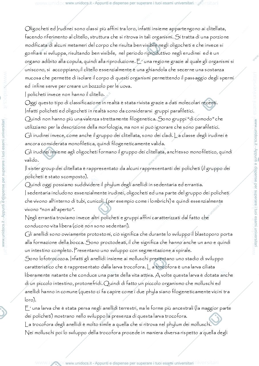 Anteprima pagina 2 — anellidi
