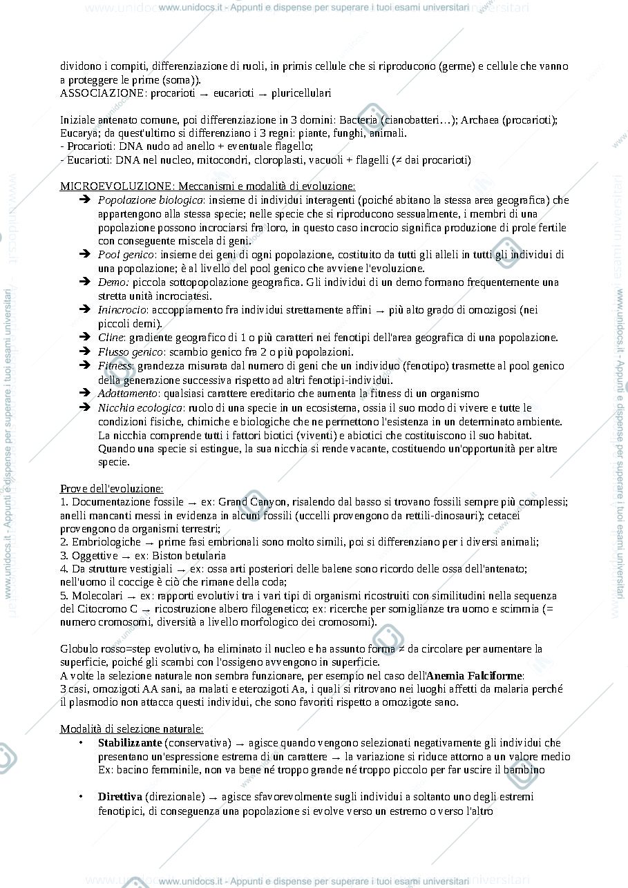 Anteprima pagina 3 — Zoologia 