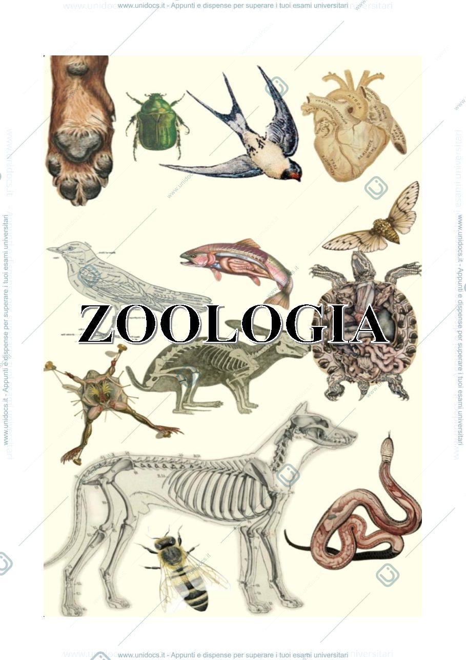 Anteprima pagina 1 — ZOOLOGIA 1