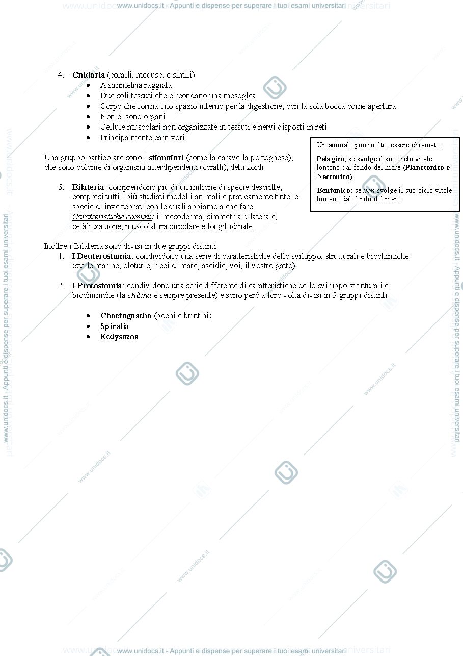 Anteprima pagina 3 — ZOOLOGIA 1