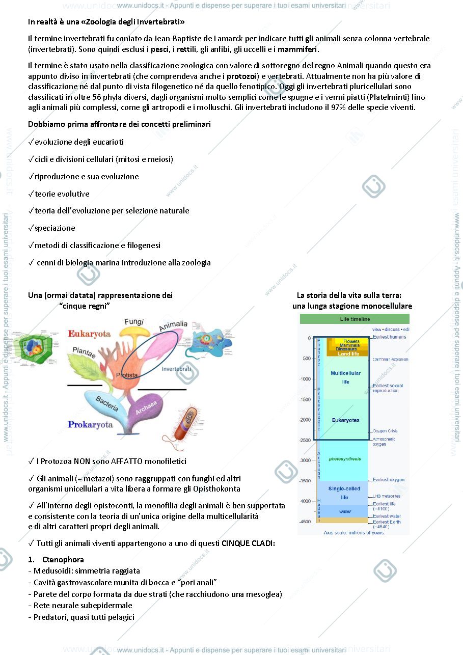 Anteprima pagina 1 — Zoologia