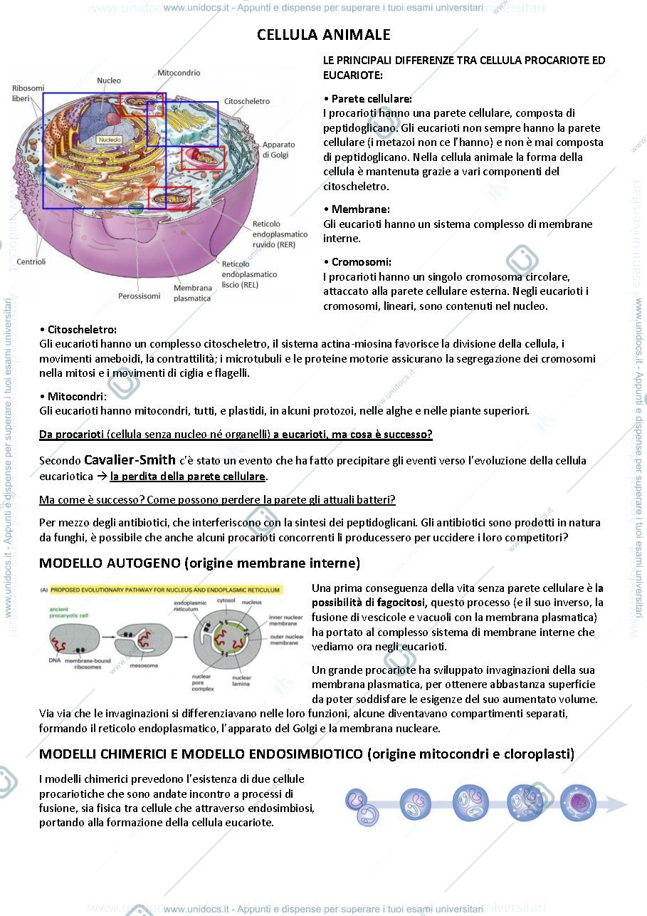 Anteprima pagina 3 — Zoologia