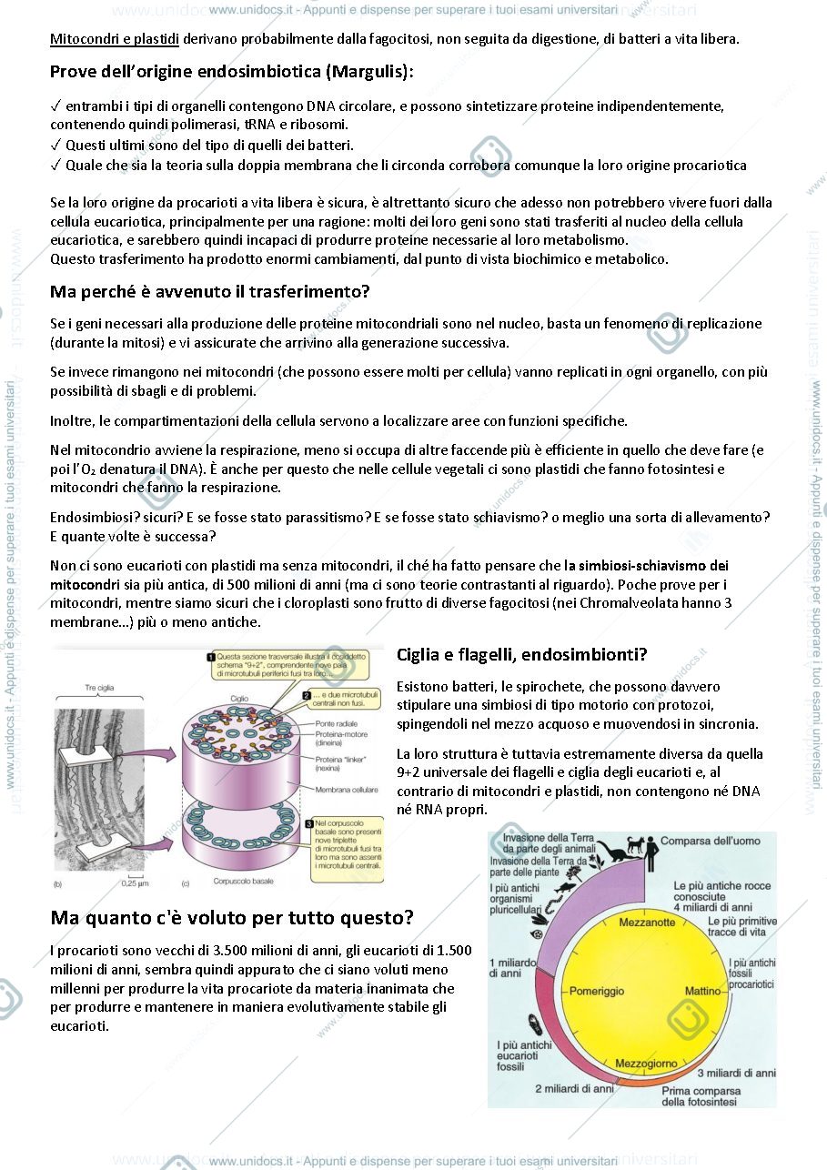 Anteprima pagina 4 — Zoologia