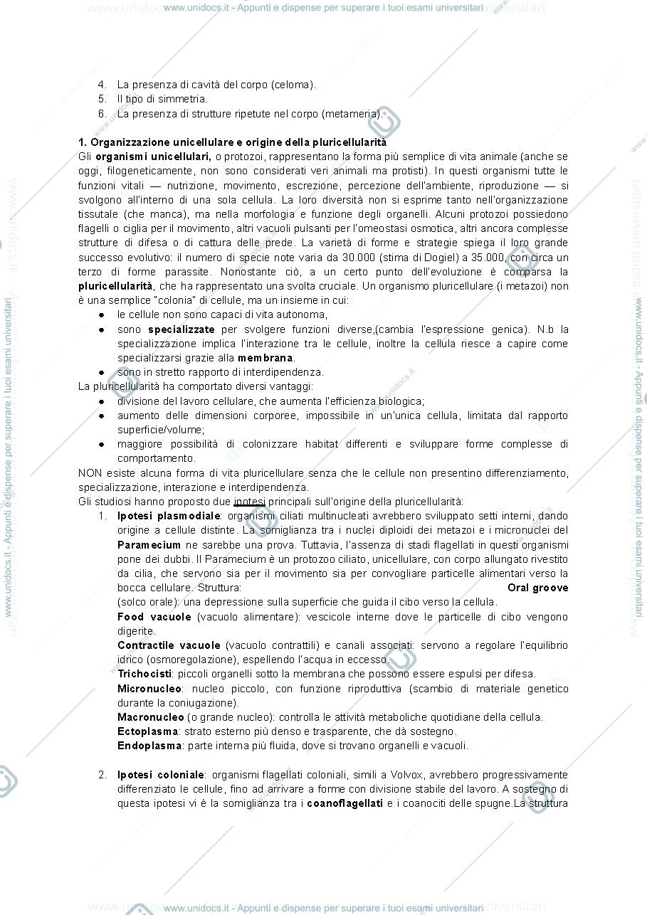 Anteprima pagina 4 — Zoologia