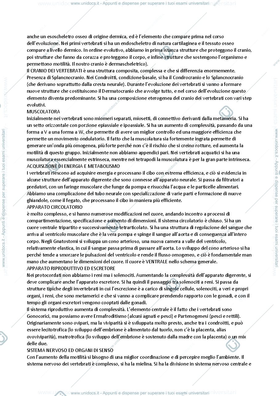 Anteprima pagina 3 — Zoologia dei vertebrati