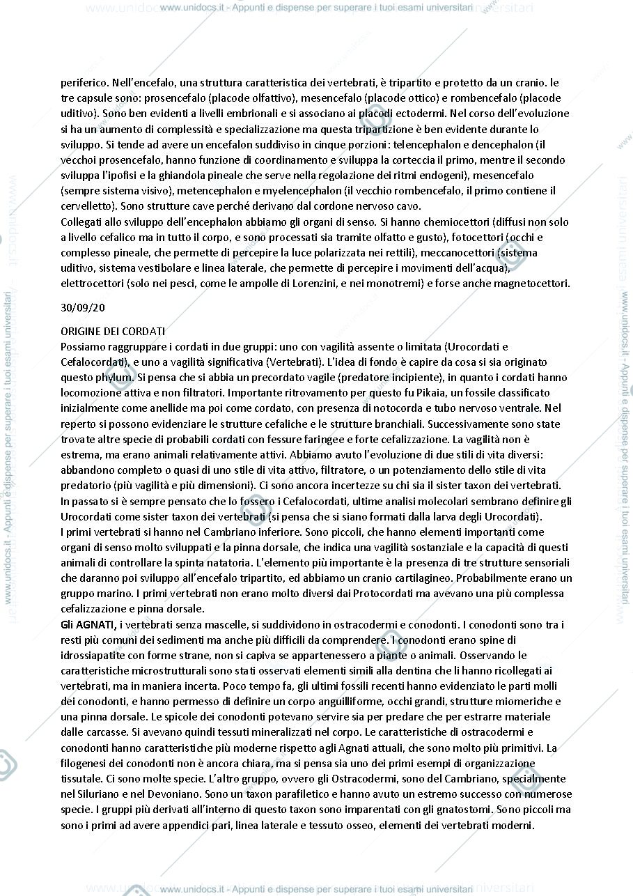 Anteprima pagina 4 — Zoologia dei vertebrati