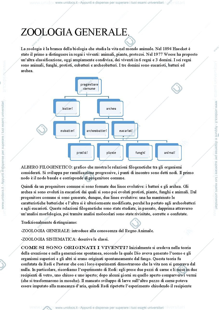 Anteprima pagina 1 — ZOOLOGIA GENERALE.