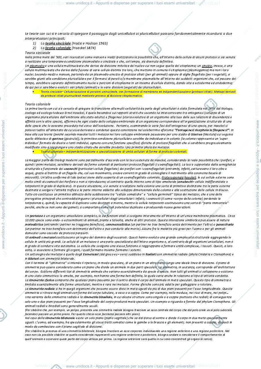Anteprima pagina 3 — Appunti di zoologia