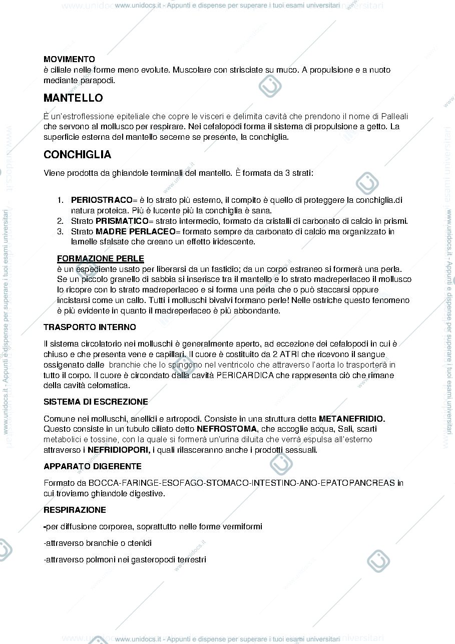 Anteprima pagina 2 — molluschi
