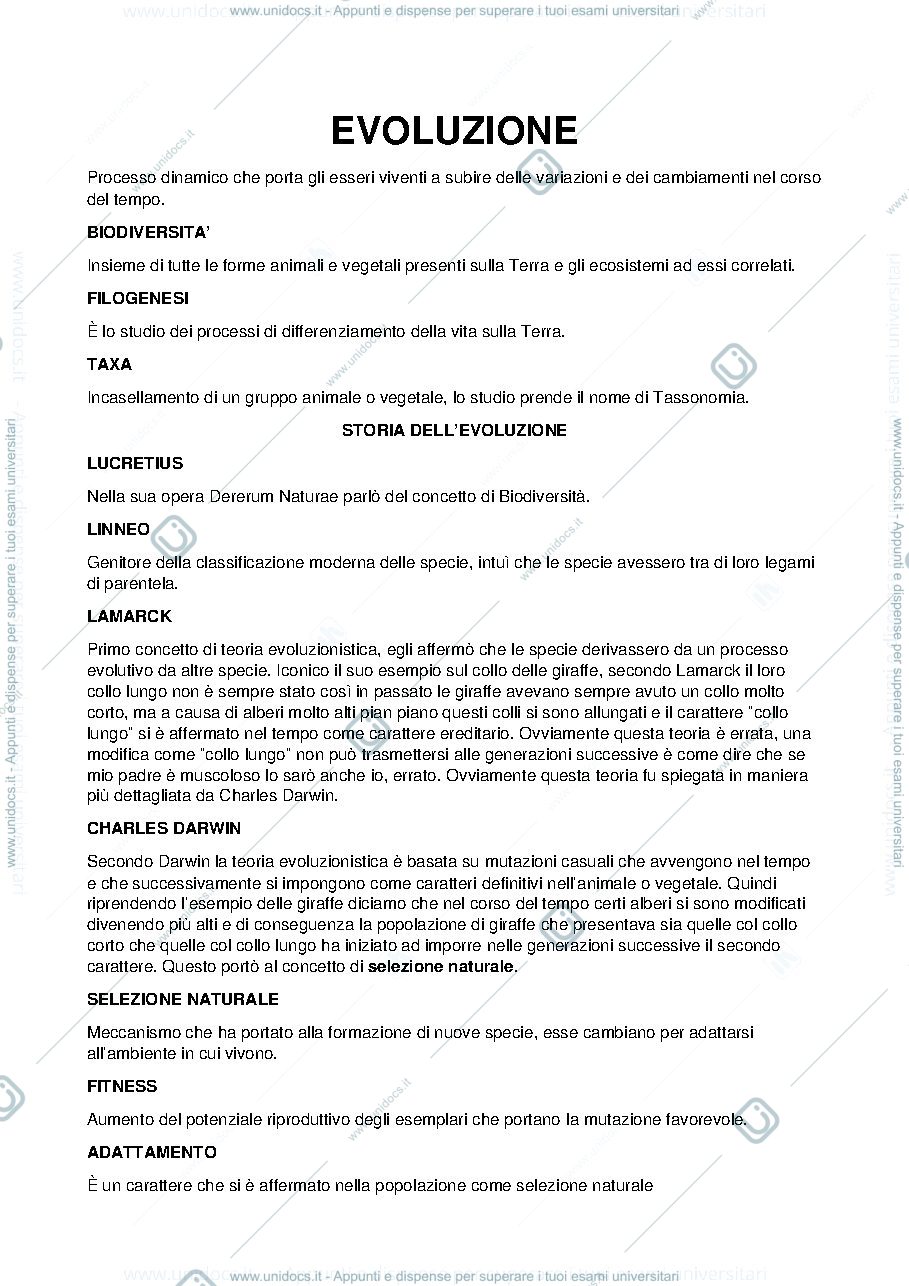 Anteprima pagina 1 — riassunti dei file 