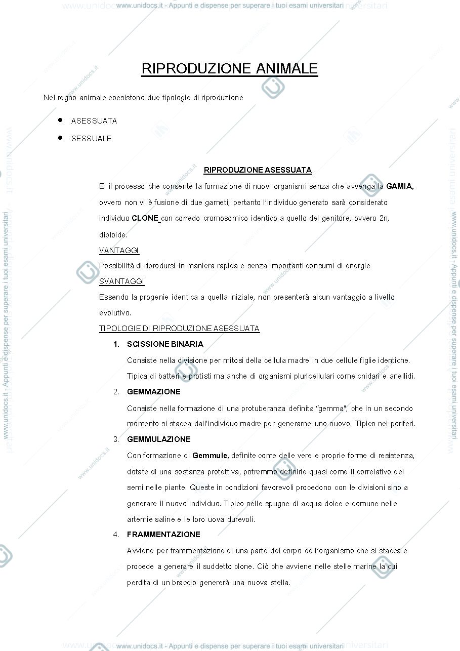 Anteprima pagina 1 — riproduzione animale 
