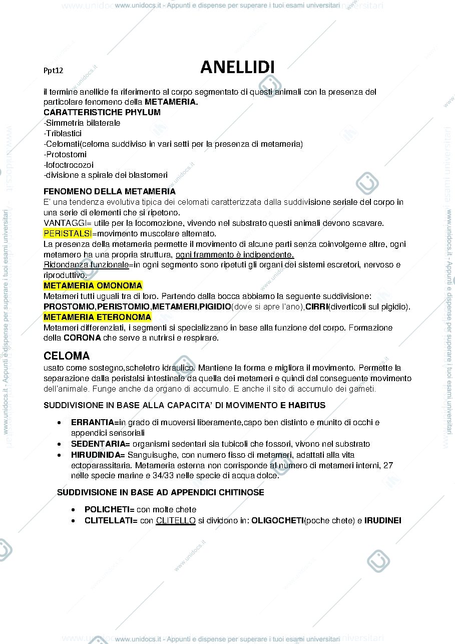 Anteprima pagina 1 — anellidi 