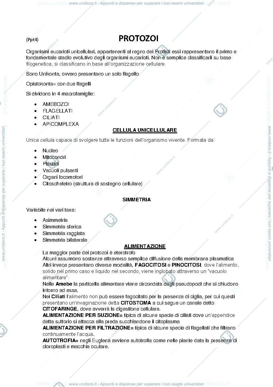Anteprima pagina 1 — riassunti